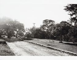 Oak Hill Park, Petaluma, California, about 1954
