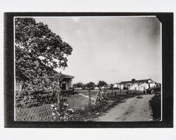 Unidentified Sonoma County farm, about 1922