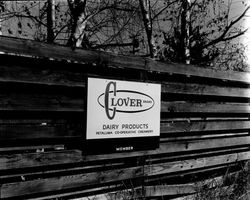 Clover Dairy products sign, Santa Rosa, California, 1967