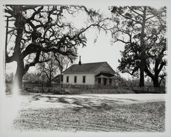 Lone Redwood School