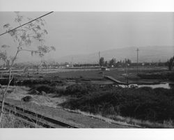 Petaluma Golf and Country Club grounds and building