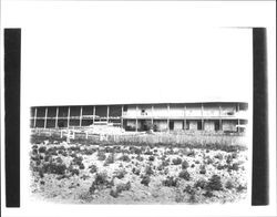 Old Adobe prior to restoration, Petaluma, California, about 1949