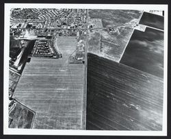 Aerial view of Cotati — Calisphere