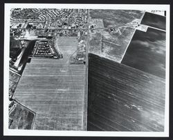 Aerial view of Cotati