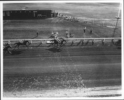 Horse race at the Fairgrounds