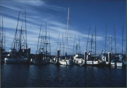 Boats docked at Spud Point Marina