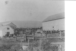 Unidentified dairy farm