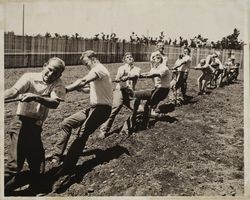 Tug of war on Farmer's Day at the Sonoma County Fair, Santa Rosa, California