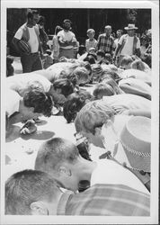 Watermelon eating contestants in action, Petaluma, California, 1969