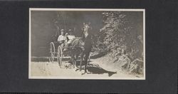 William S. Borba and companion in their buggy