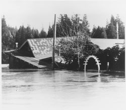 Flood at Guerneville