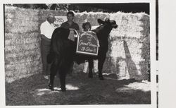Erin Gulish and her 4H Grand Champion steer at the Sonoma County Fair, Santa Rosa, California, 1985