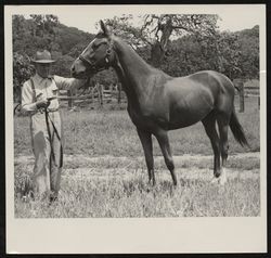 Louie Bugeia and the horse Sir Kenelson