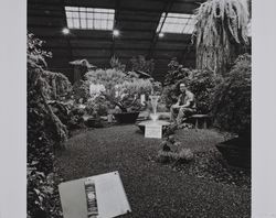 Pricketts Nursery display at the Hall of Flowers at the Sonoma County Fair, Santa Rosa, California, 1967