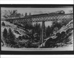 Bridge across Brown Gulch on the line of the North Pacific Coast Railroad, Occidental, California, 1879