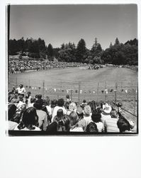 Guerneville rodeo, Guerneville, California, 1978