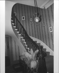 Interior of the Gables, located between Santa Rosa and Rohnert Park at 4257 Petaluma Hill Road, Sonoma, September 1983