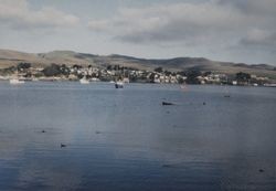 Fishing boat leaving Bodega Bay