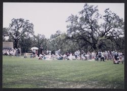 Unidentified parks in Sonoma County