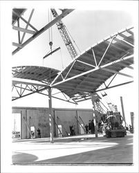 Todd Construction and Taylor Roofing erecting a building, Rohnert Park, California, 1958