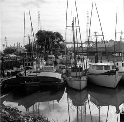 Sea Trek and other boats in the Petaluma Turning Basin