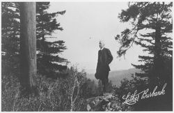 Luther Burbank enjoying the woods