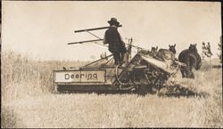 Deering hay mower in a field near Petaluma, California, 1890