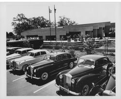 Cars belonging to members of the Rolls Royce Owners Club of Northern California at Piper Sonoma, Healdsburg, California, 1981