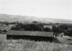 Chicken house at 196 Cinnabar Avenue, Petaluma, California, May 27, 1997