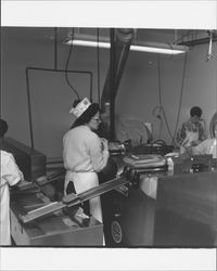 Processing chickens at Reif and Brody, Petaluma, California, 1960