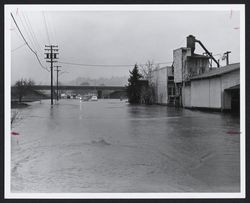 Flood on Mill Street looking west