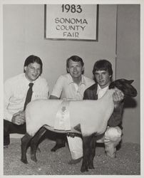 Grand Champion Market lamb at the Sonoma County Fair, Santa Rosa, California, 1983