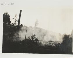 Maloof and Rosenberg Sawmill after the fire, Furlong Road, Sebastopol, California, between 1922 and 1924