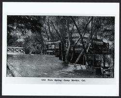 Fern Spring, Camp Meeker, California