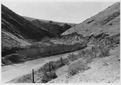 Highway 1 near Valley Ford