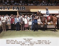 Racehorse Can O'Bucks standing and other horses and trainers standing in front of the Sonoma County Fair Grandstands, July 25, 1985