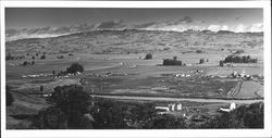 View of Petaluma, California from Redwood Highway south of town, 1939