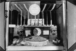 Display of chicken feed and an electric brooder