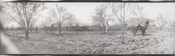 Plowing a field with a tractor and horse teams