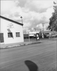 Roy Jameson and Son, Petaluma, California, 1959