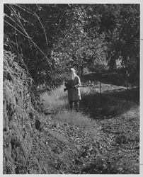 Man posing as stagecoach robber Black Bart, Sonoma County, California, 1964
