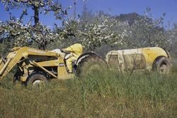 Alan Benelli spraying the orchard at 1293 Hurlbut Ave., Sebastopol, Calif., June 1974