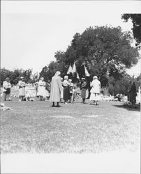 Veterans Day ceremonies at Cypress Hill Cemetery, Petaluma, California, 1949