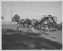 Mock hold-up of a stagecoach at the Old Adobe Fiesta, Petaluma, California, 1967