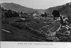 Birds eye view, Duncan's Mills, Cal