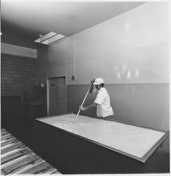 Cheese making at the Sonoma Cheese Factory, Sonoma, California, 1972