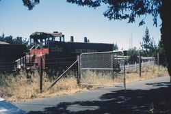 Southern Pacific train at Hurlbut Avenue crossing, Sebastopol, Calif., July 1977