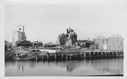 Views of the dismantling of the Golden Eagle Milling Company warehouse, Petaluma, California, 1965