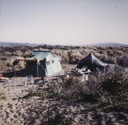 Tents on the beach at Doran Park