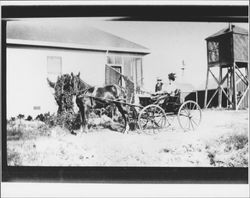 Slaughtering a pig, Petaluma, California, 1910